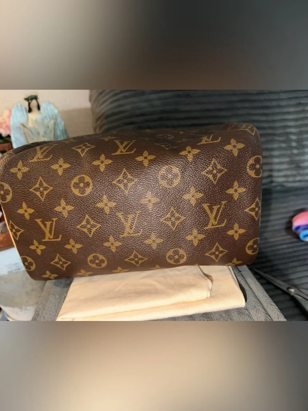 Louis Vuitton Speedy 25 bag